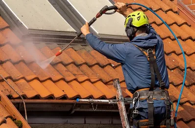 Démoussage et hydrofuge de toiture à Romeyer